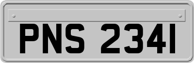 PNS2341