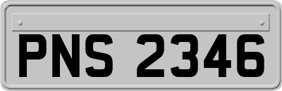 PNS2346
