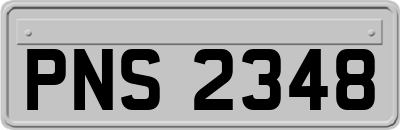 PNS2348