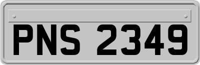PNS2349