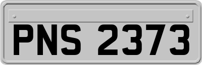 PNS2373