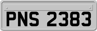 PNS2383