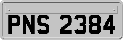 PNS2384