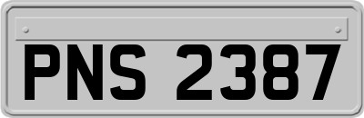 PNS2387