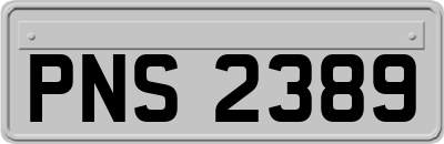 PNS2389