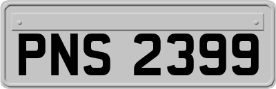 PNS2399