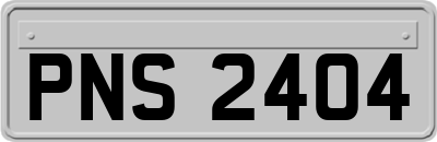 PNS2404