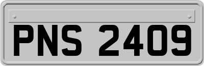 PNS2409