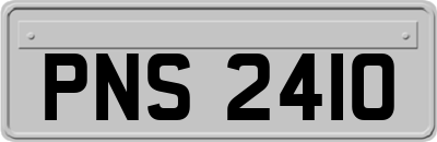 PNS2410