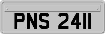 PNS2411