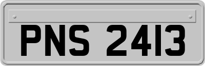 PNS2413
