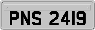 PNS2419