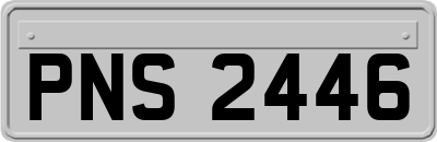PNS2446