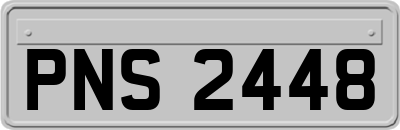 PNS2448