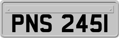 PNS2451
