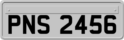 PNS2456