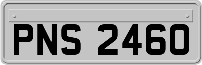 PNS2460