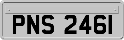 PNS2461