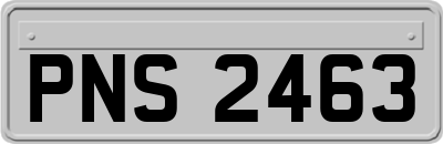PNS2463