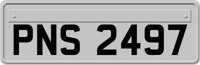 PNS2497