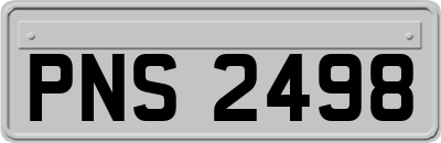 PNS2498
