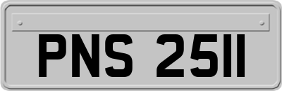 PNS2511