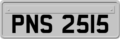 PNS2515