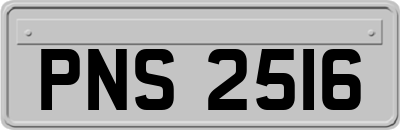 PNS2516