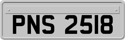 PNS2518
