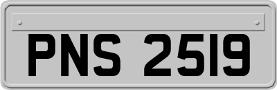 PNS2519