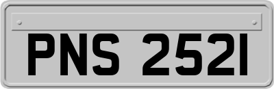 PNS2521