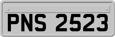 PNS2523