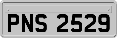 PNS2529