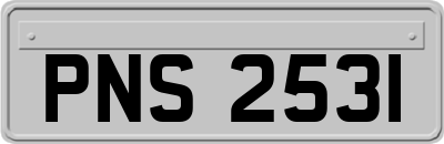 PNS2531