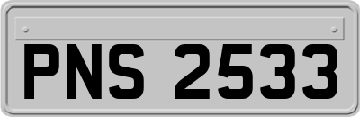 PNS2533