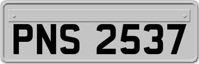 PNS2537