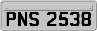 PNS2538