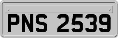 PNS2539
