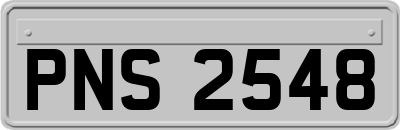 PNS2548