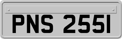 PNS2551