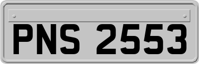 PNS2553