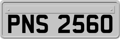 PNS2560