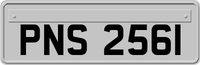 PNS2561