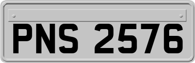 PNS2576