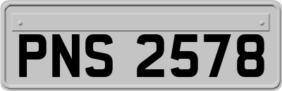 PNS2578