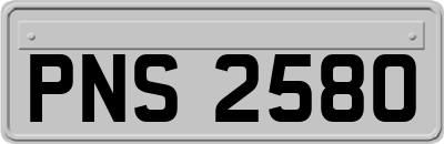 PNS2580