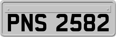 PNS2582