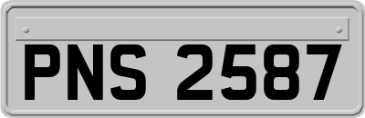 PNS2587
