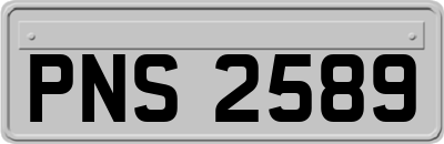 PNS2589