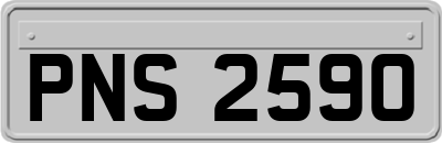 PNS2590
